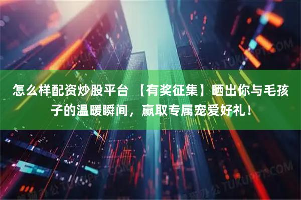 怎么样配资炒股平台 【有奖征集】晒出你与毛孩子的温暖瞬间，赢取专属宠爱好礼！