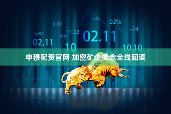 申穆配资官网 加密矿企概念全线回调